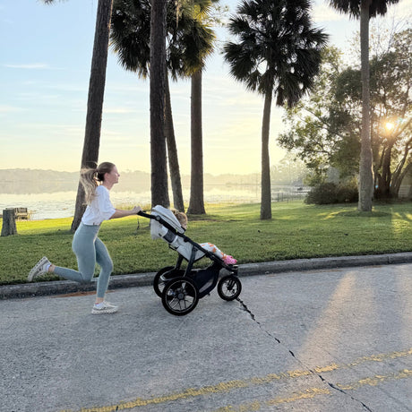 UPPAbaby Ridge V2 All-Terrain Stroller