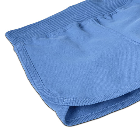 Baby Sweatshorts - Abundant Blue by Patagonia