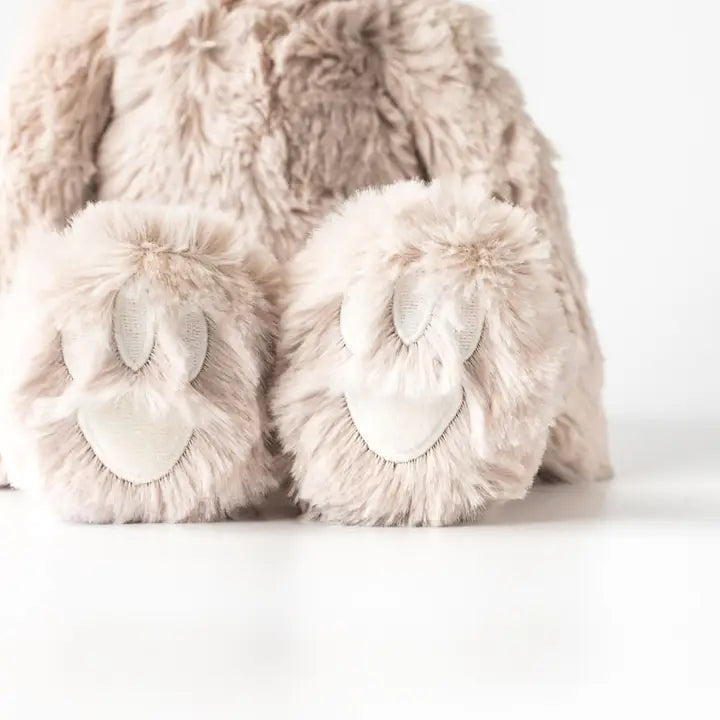 Sloth's Routines Set - Snuggler with 2 Books! by Slumberkins