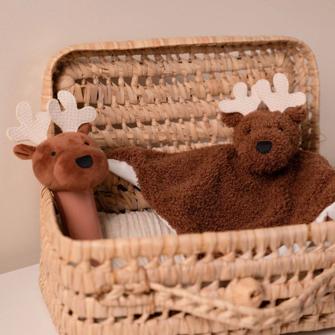Baby Gift Box- Forest by Little Big Friends