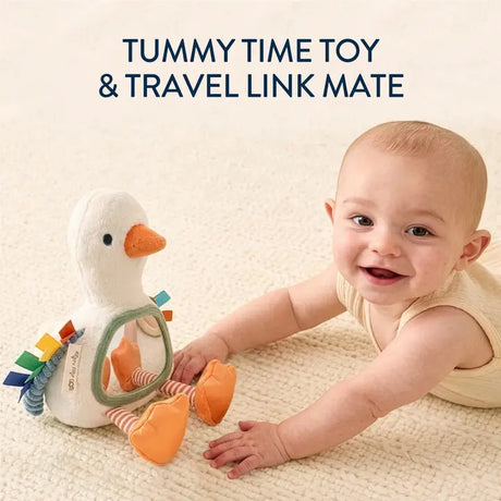 Itzy Bitzy Mirror Sensory Tummy Time- Goose by Itzy Ritzy