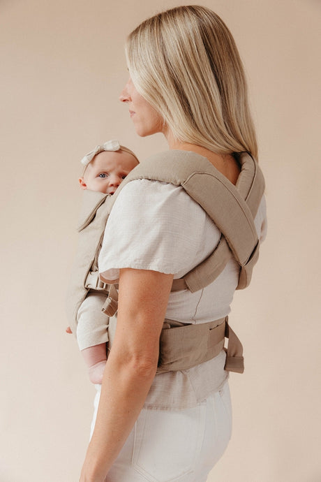 Desert Lark - Aerial Carrier by Wildbird