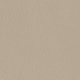 M26834GMLB,Babyletto,babyletto x GATHRE Capsule Bassinet in Millet