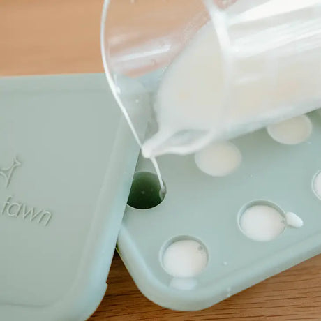 Ice Cube Tray - Fern by Moss & Fawn