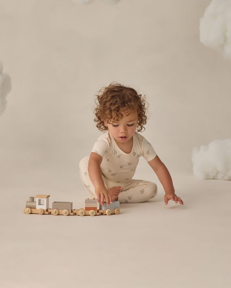 Bamboo Short Sleeve Pajama Set || Elephants by Quincy Mae