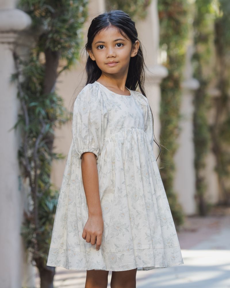 Luna Dress | Mist English Rose by Noralee