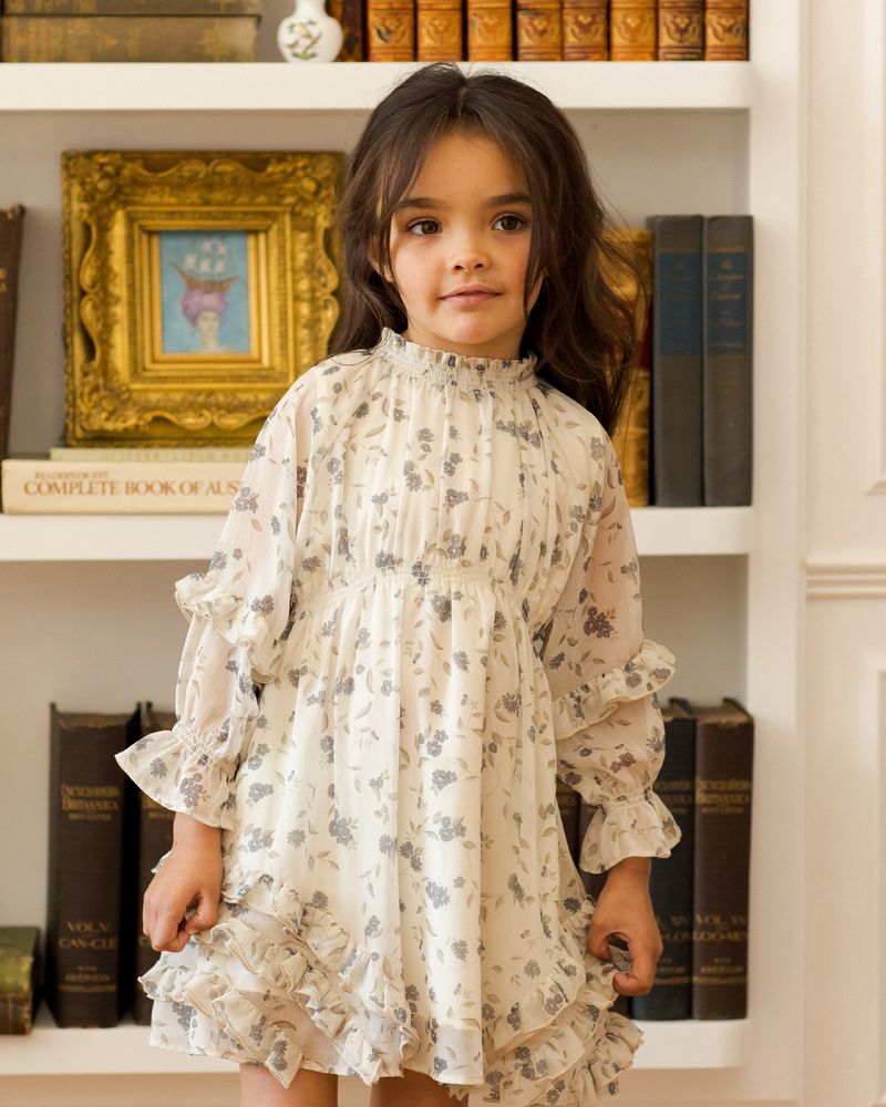 Mirabelle Dress | Winter Vines by Noralee