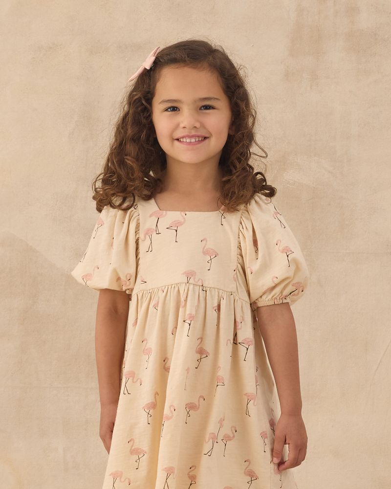 Brea Dress || Flamingo by Rylee + Cru