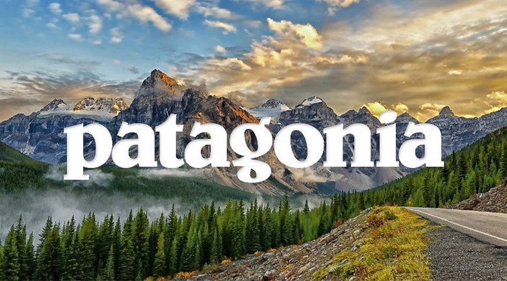 Shop Patagonia