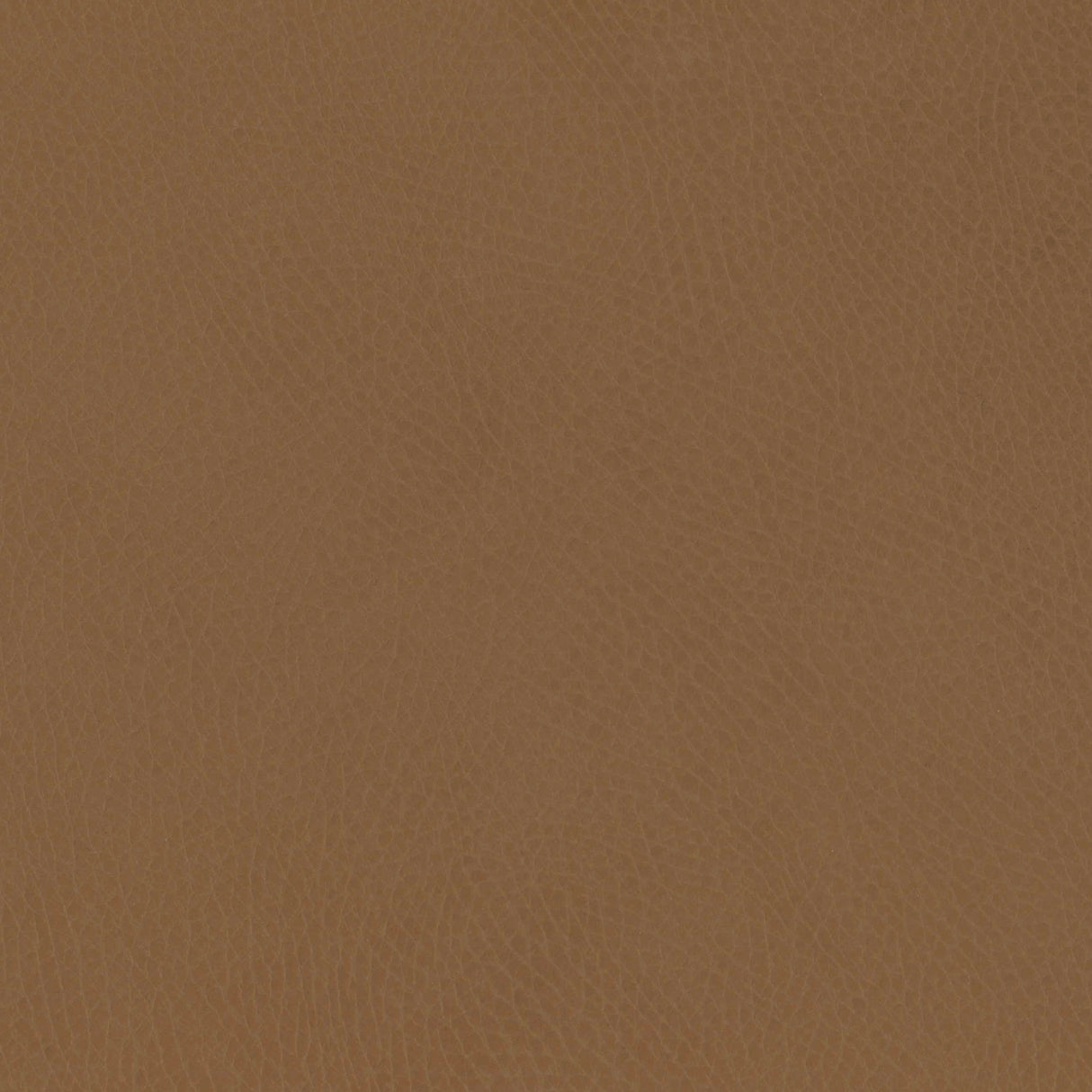 M26834GCLB,Babyletto,babyletto x GATHRE Capsule Bassinet in Camel