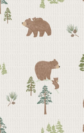 Angel Dear Sweet Brown Bears 2-Way Zipper Footie