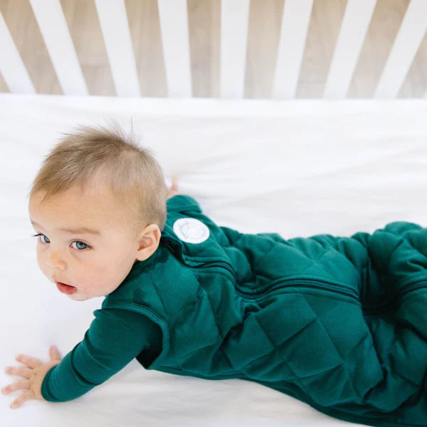 Dream weighted best sale sleep sack