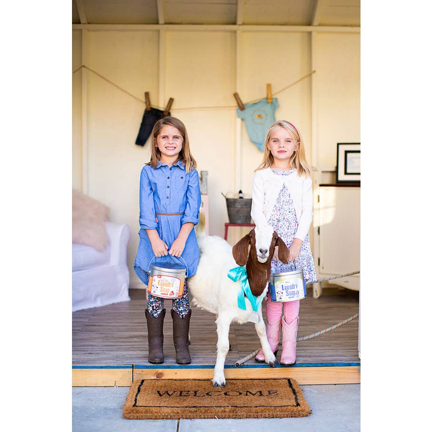 Powder Detergent in Citrus 120 Load by Brooke & Nora at Home