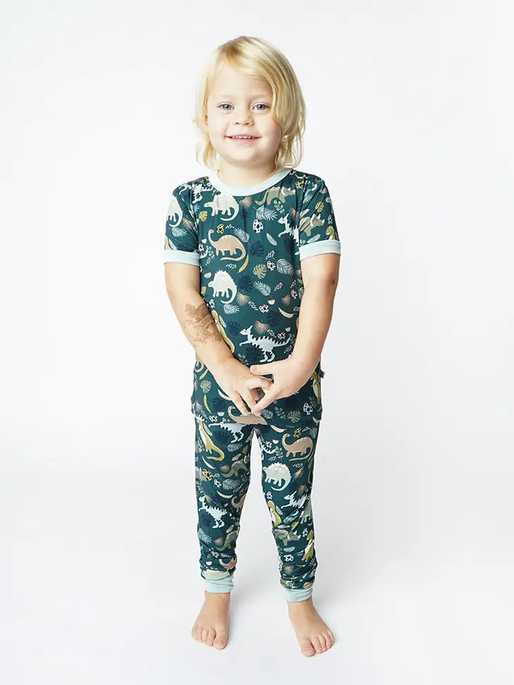 Prehistoric Friends Dinosaur 2 Piece Kids Bamboo Pajamas by Emerson & Friends