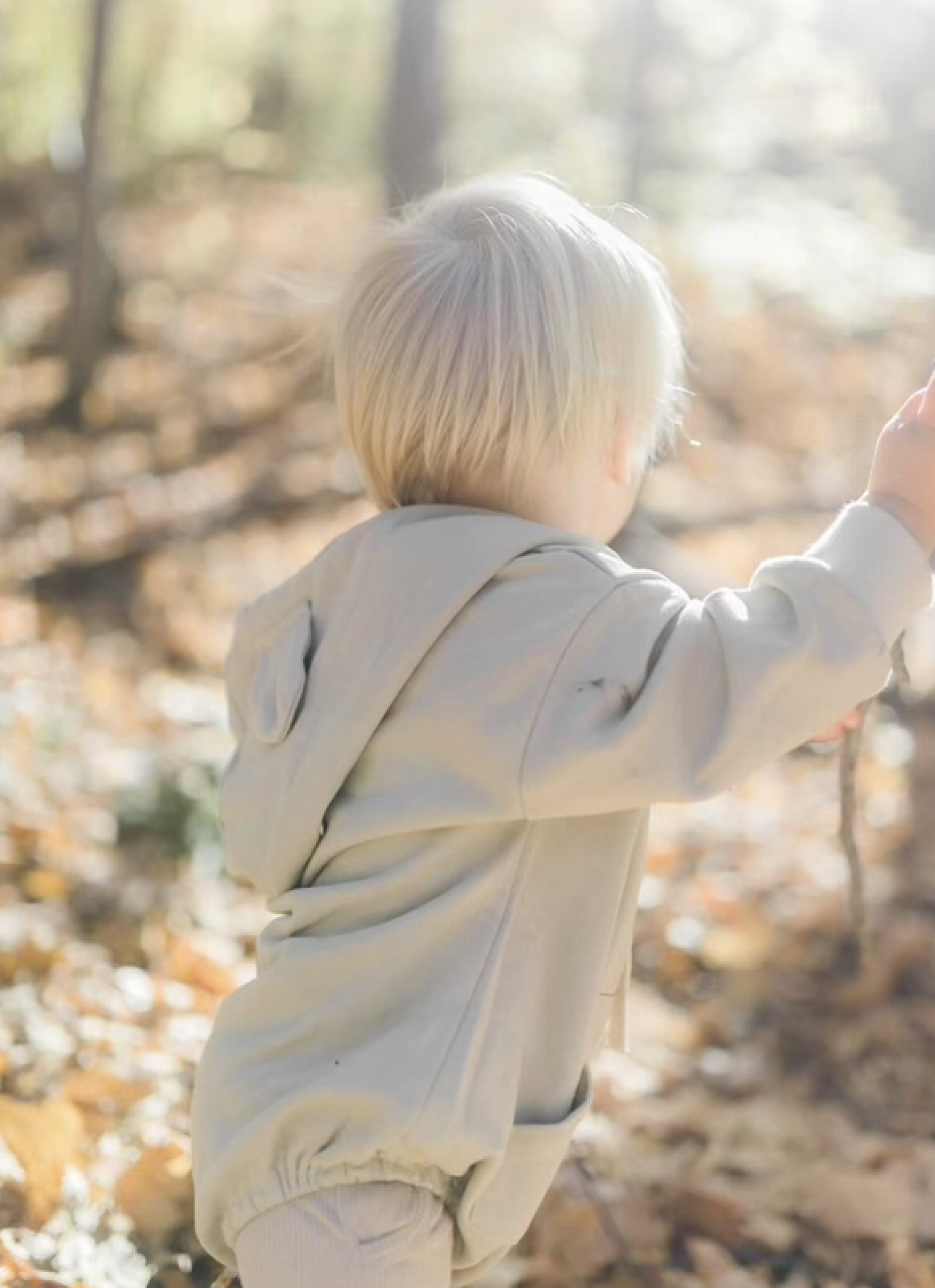 Alice & co. - Beary Cute Sweater