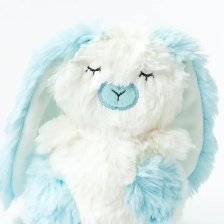 Blue Bunny Mini & Bigfoot Lesson Book- Self Esteem