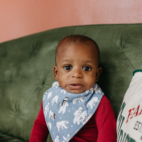 Baby Bandana Bibs in Polar by Copper Pearl