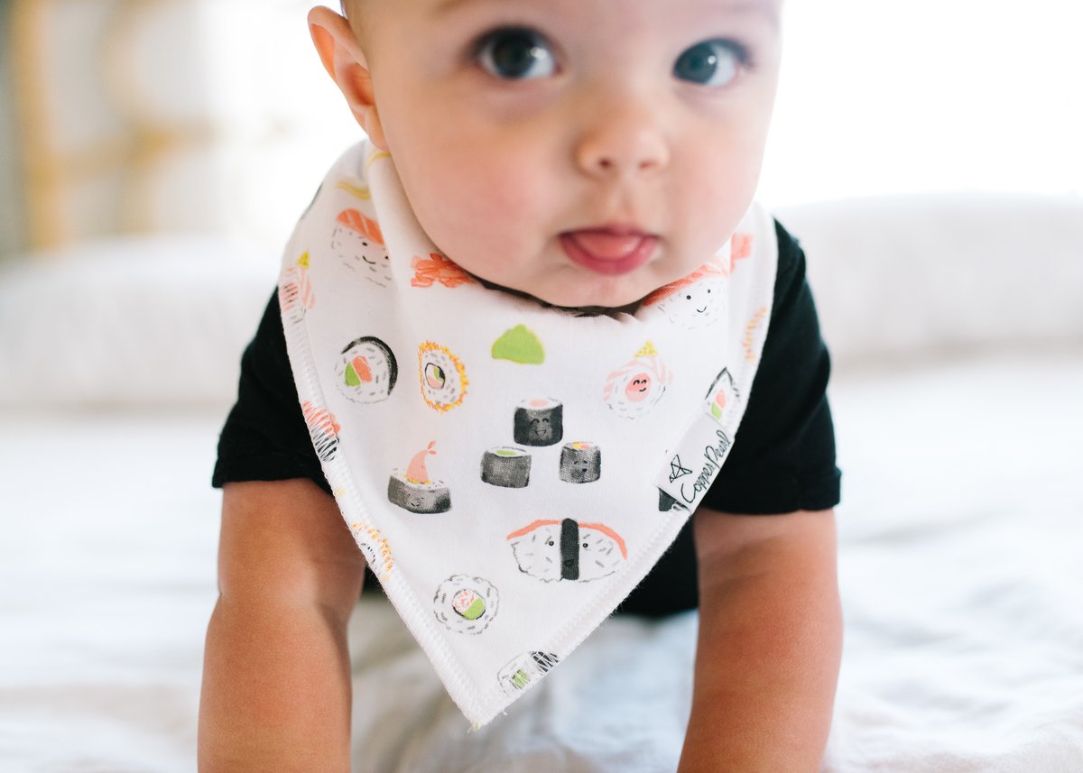Baby Bandana Bibs in Baja Set by Copper Pearl