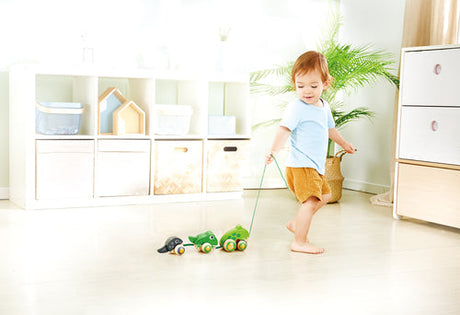Pull-Along Frog Family by Hape