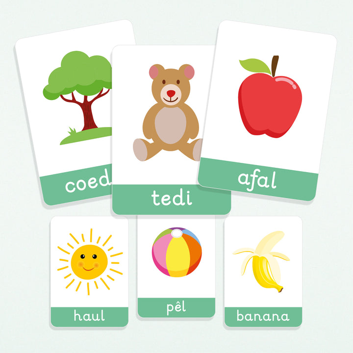 First Words Flashcards (Welsh) by My Little Learner