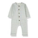 Roman Jumpsuit by 1 + in the family